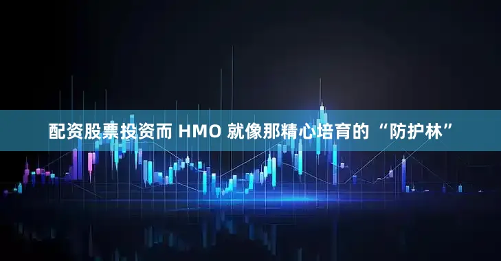 配资股票投资而 HMO 就像那精心培育的 “防护林”