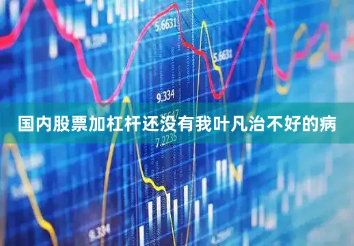 国内股票加杠杆还没有我叶凡治不好的病